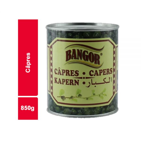CAPRE BANGOR BOITE 850 GR